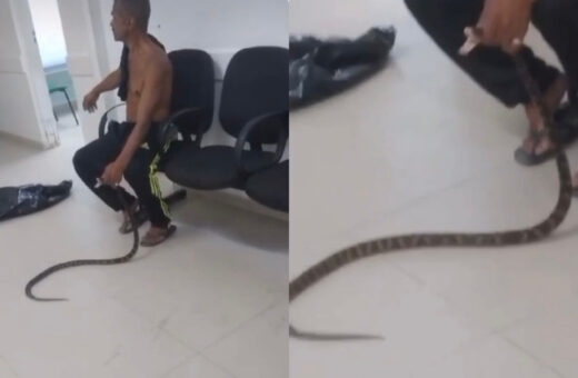 Vídeo mostra paciente segurando a cobra em UPA de SP. Foto: Reprodução Internet