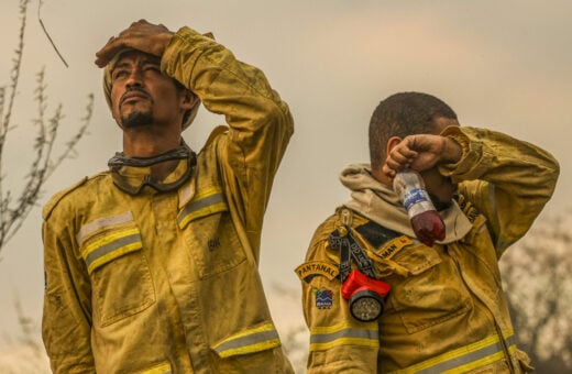 Governo amplia o número de brigadistas para combater incêndios florestais