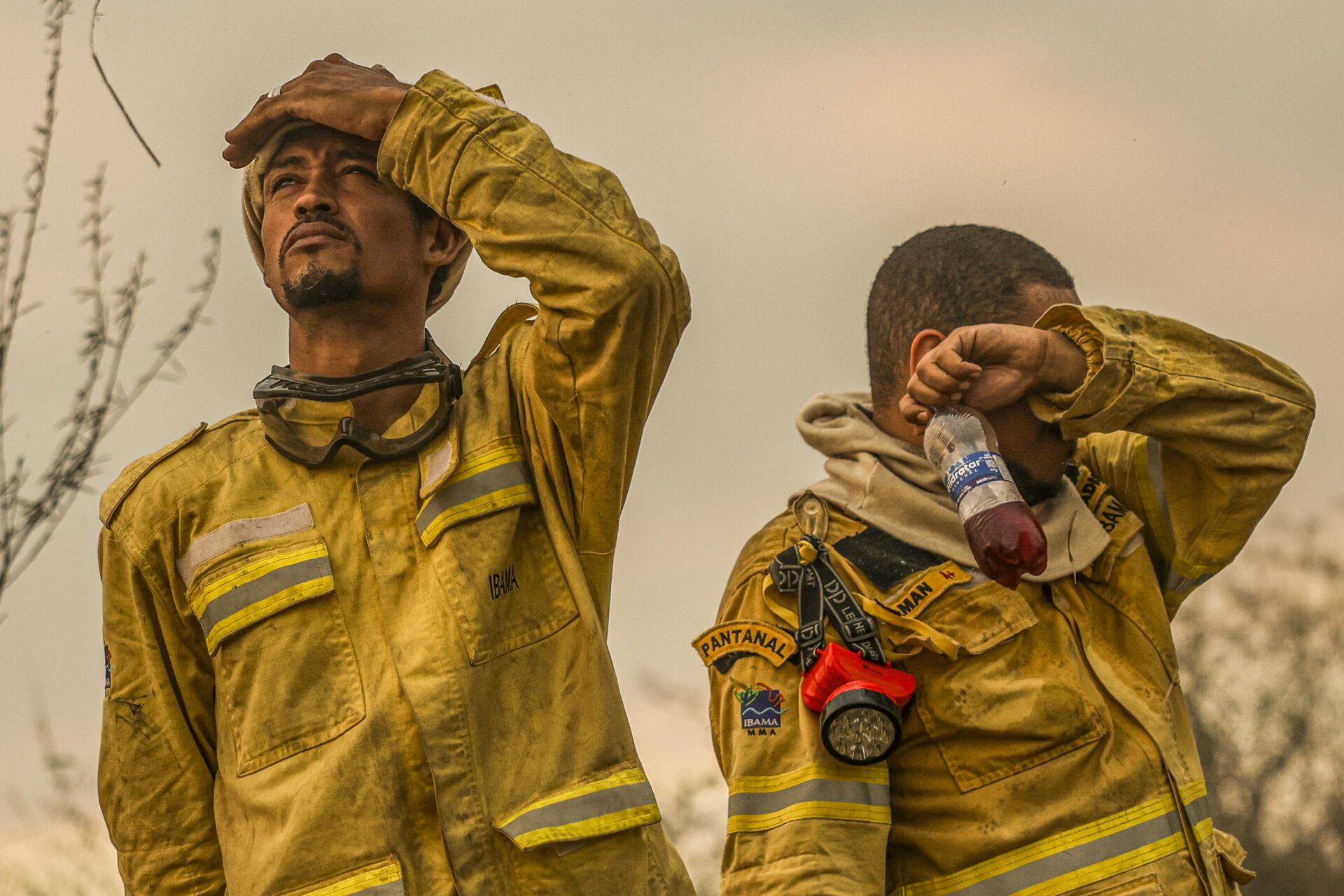 Governo amplia o número de brigadistas para combater incêndios florestais