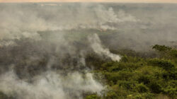 Fumaça de incêndios no Norte se espalham pelo país.