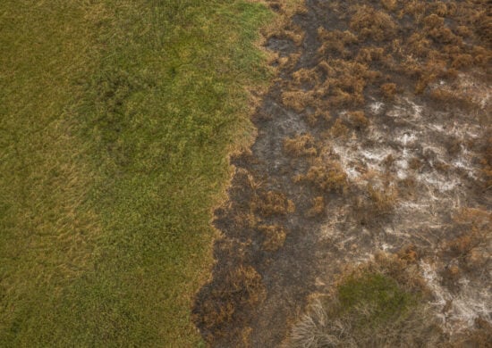 Queimadas destroem áreas de vegetação nos biomas brasileiros