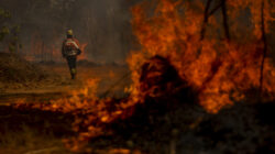 Brigadistas do Instituto Brasília Ambiental e Bombeiros do DF combatem incêndios florestais.