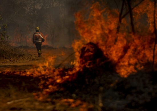 Brigadistas do Instituto Brasília Ambiental e Bombeiros do DF combatem incêndios florestais.