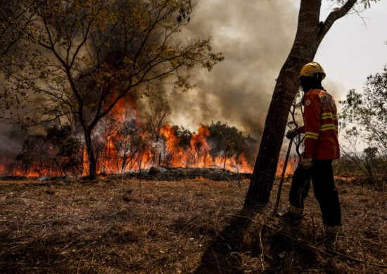 PF vai investigar suspeitas de incêndios criminosos pelo país