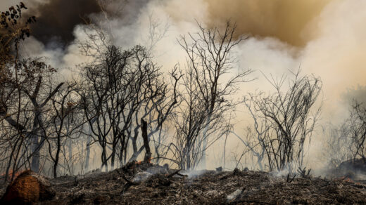 Fumaça das queimadas no Norte encobre os céus de Brasília e Goiânia e provoca cancelamento de voos.