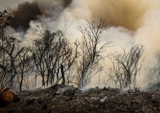 Fumaça das queimadas no Norte encobre os céus de Brasília e Goiânia e provoca cancelamento de voos.