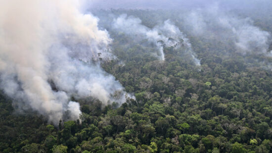 incendios-florestais-capa