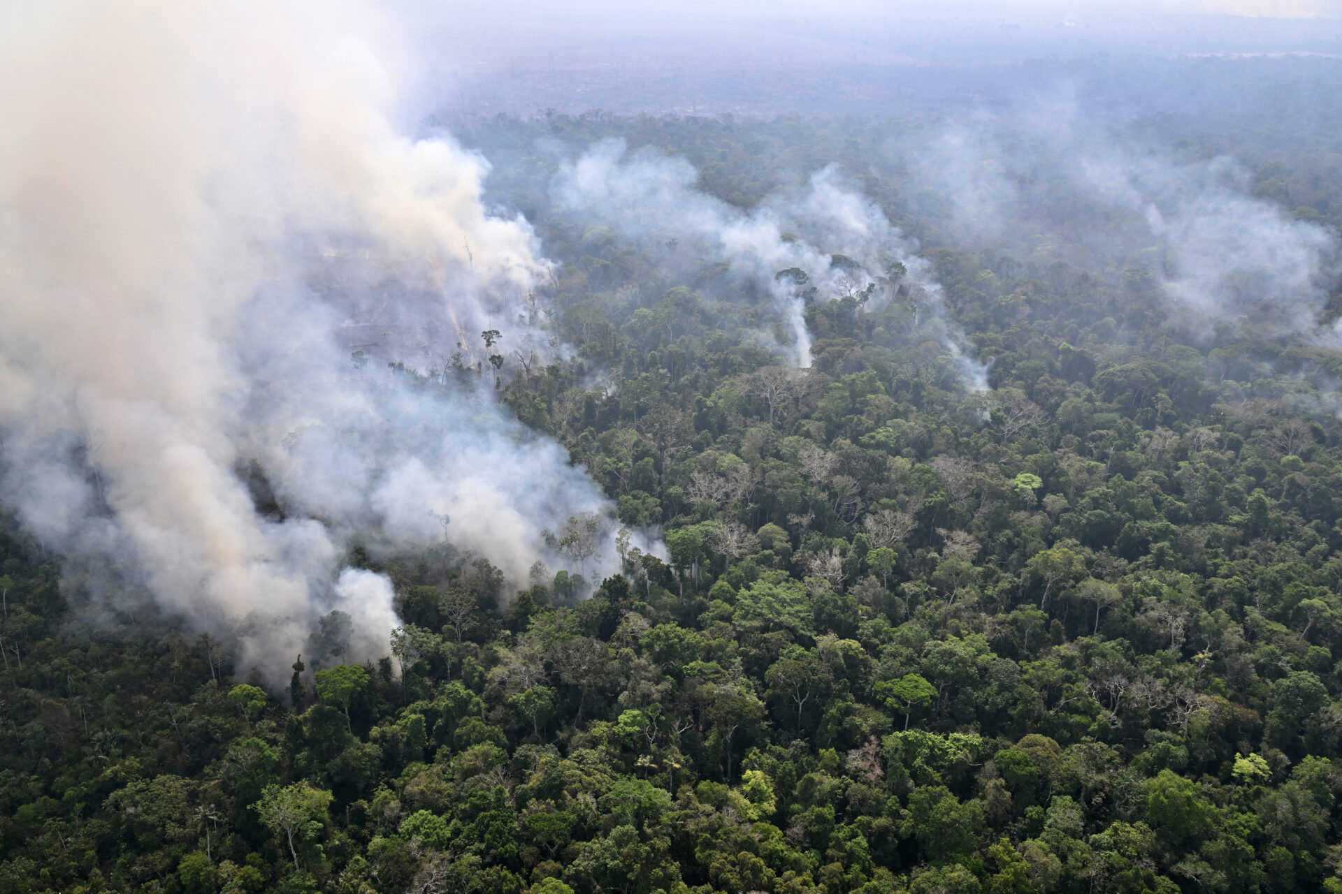 incendios-florestais-capa