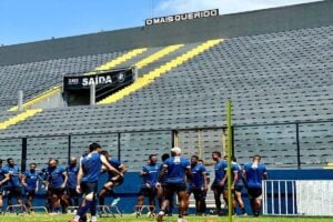 Remo x Botafogo-PB: onde assistir, horário e prováveis escalações da partida da Série C foto: instagram @clubedoremo