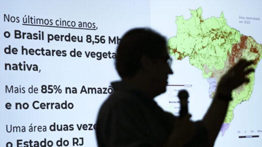 O coordenador geral do Mapbiomas, Tasso Azevedo, disse que a perda de vegetação representa aumento dos riscos climáticos no Brasil.