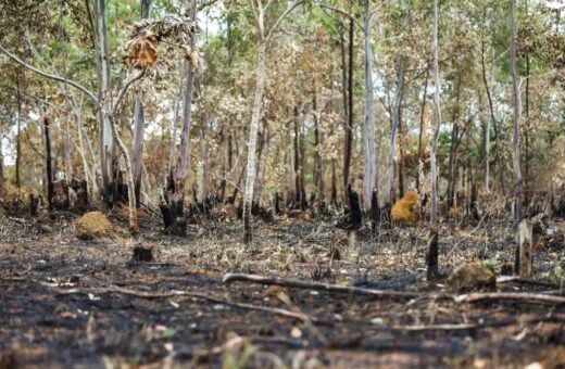 Senado vai reunir especialistas e discutir a situação das queimadas no Brasil