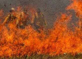 Congresso vai analisar MP que libera repasses para combater incêndios no Brasil.