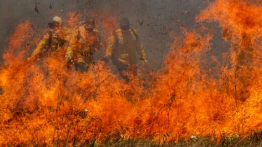 Congresso vai analisar MP que libera repasses para combater incêndios no Brasil.