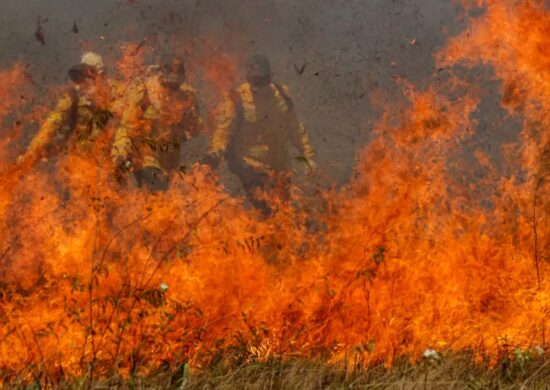 Congresso vai analisar MP que libera repasses para combater incêndios no Brasil.