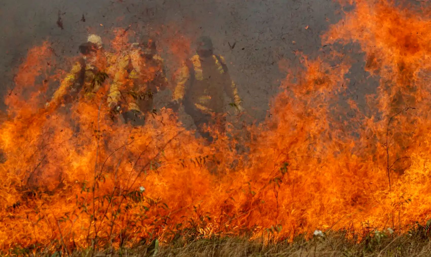 Congresso vai analisar MP que libera repasses para combater incêndios no Brasil.