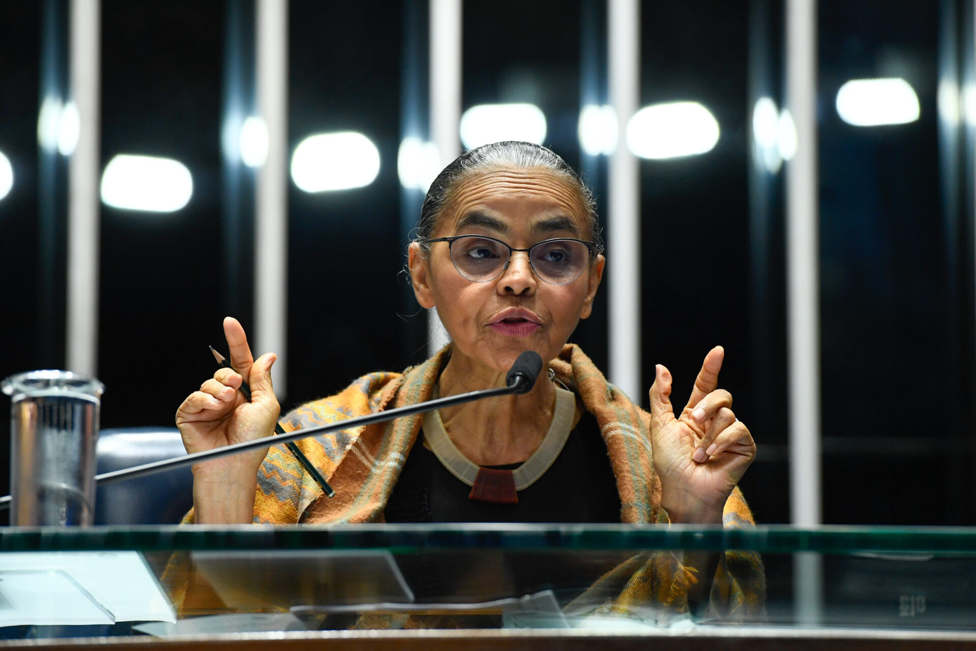 Senado Federal ouve a ministra Marina Silva sobre os incêndios no país