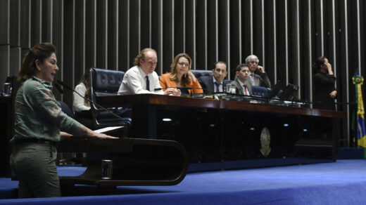 Presidente do Ibama, Rodrigo Agostinho, comparece ao Senado e pede a criação de linhas de crédito para o combate a incêndios.