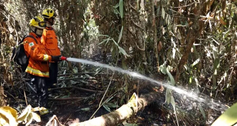 Soldado do Corpo de Bombeiros do Distrito Federal durante ações de combate a incêndios no Parque Nacional - Foto: Antônio Cruz/Agência Brasil