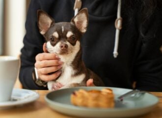 O ovo é um dos alimentos preferidos dos brasileiros