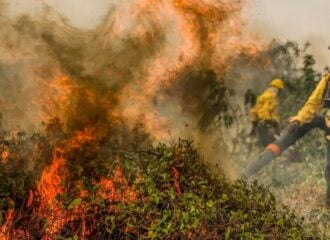 Estado do Amazonas registrou 21,6 mil queimadas em 2024, diz Inpe - Foto: Marcelo Camargo/Agência Brasil.