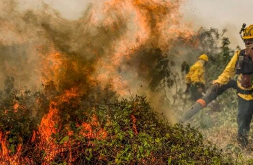 Estado do Amazonas registrou 21,6 mil queimadas em 2024, diz Inpe - Foto: Marcelo Camargo/Agência Brasil.