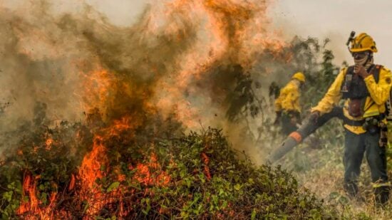 Estado do Amazonas registrou 21,6 mil queimadas em 2024, diz Inpe - Foto: Marcelo Camargo/Agência Brasil.