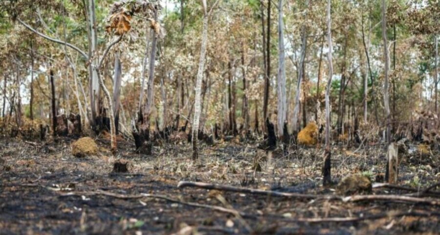 rio branco emergência-capa