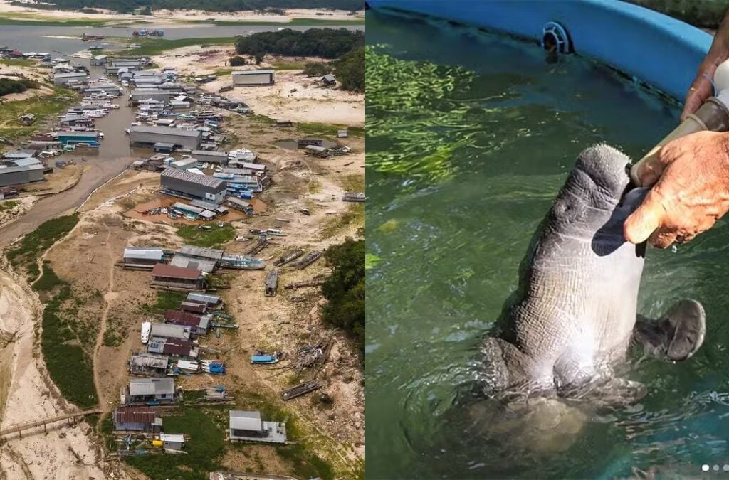 seca caça e pesca-capa