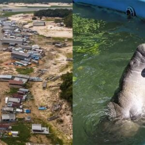 seca caça e pesca-capa