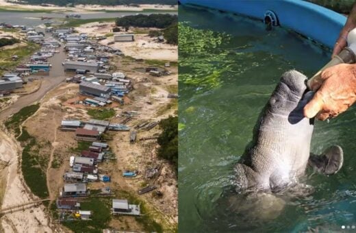 seca caça e pesca-capa