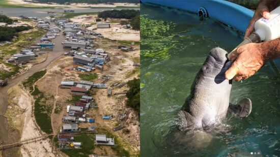 seca caça e pesca-capa