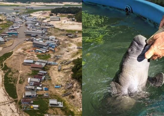 seca caça e pesca-capa