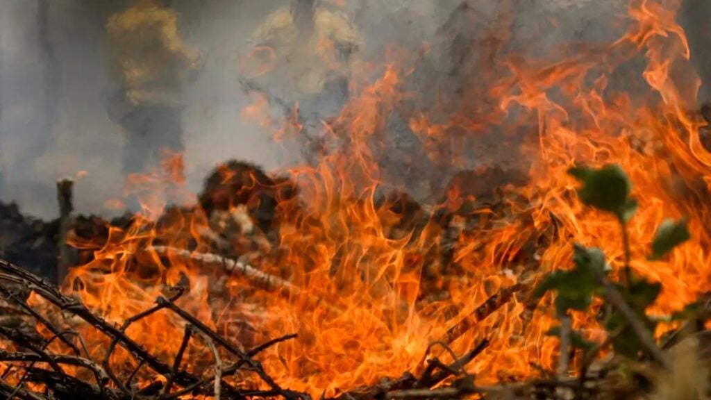 brasil incêndios-capa