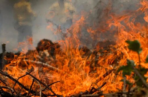 brasil incêndios-capa