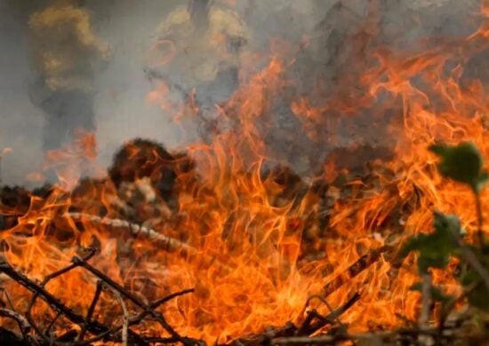 brasil incêndios-capa