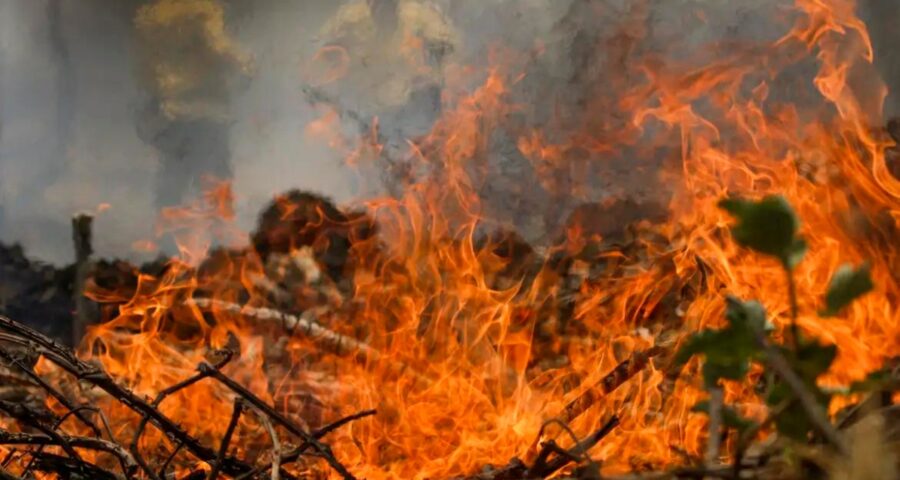 brasil incêndios-capa