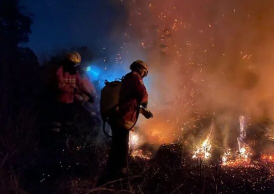 Focos de calor seguem avançando no Brasil - Foto: Reprodução/Coletivo Boca da Mata