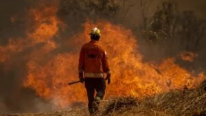 Brasil enfrenta focos de incêndios e o Cerrado já supera a Amazônia - Foto: Marcelo Camargo/Agência Brasil