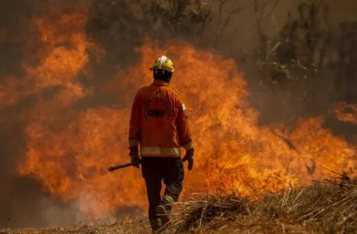 Brasil Enfrenta Incêndios Críticos; Cerrado Supera Amazônia - Foto: Marcelo Camargo/Agência Brasil