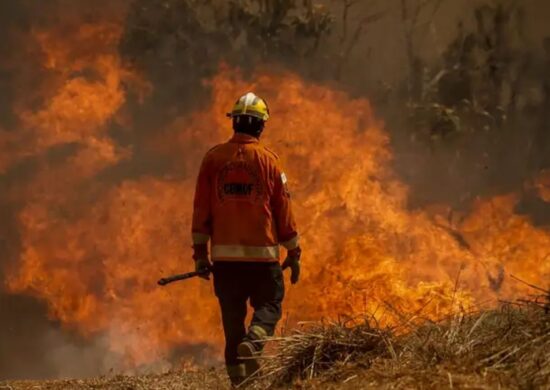 Brasil enfrenta focos de incêndios e o Cerrado já supera a Amazônia - Foto: Marcelo Camargo/Agência Brasil