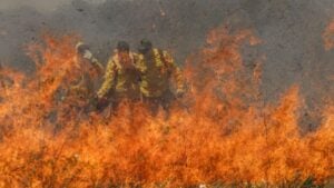 Cerrado agora supera a Amazônia em frentes de fogo - Foto: Joédson Alves/Agência Brasil