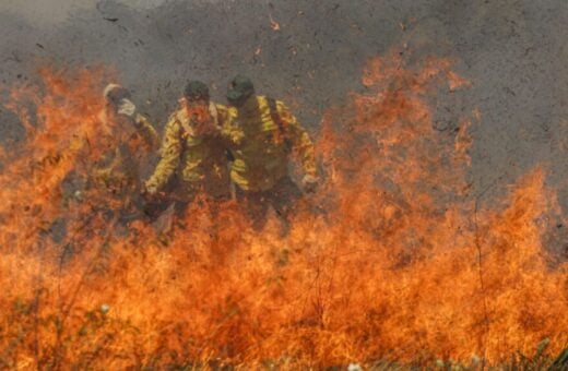 Cerrado agora supera a Amazônia em frentes de fogo - Foto: Joédson Alves/Agência Brasil