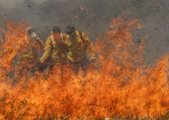 Cerrado agora supera a Amazônia em frentes de fogo - Foto: Joédson Alves/Agência Brasil