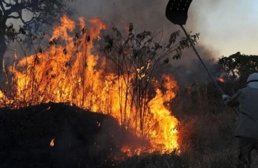 Governo quer diminuir os impactos das queimadas no campo - Foto: Valter Campanato/Agência Brasil