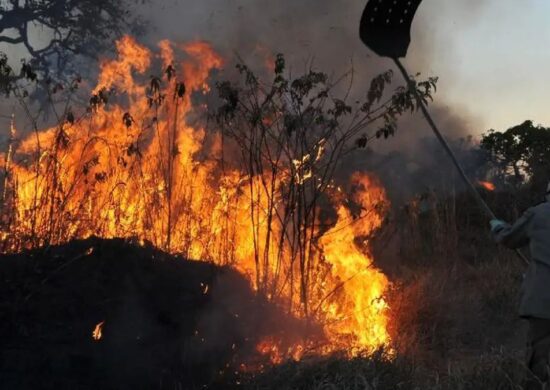 Governo quer diminuir os impactos das queimadas no campo - Foto: Valter Campanato/Agência Brasil