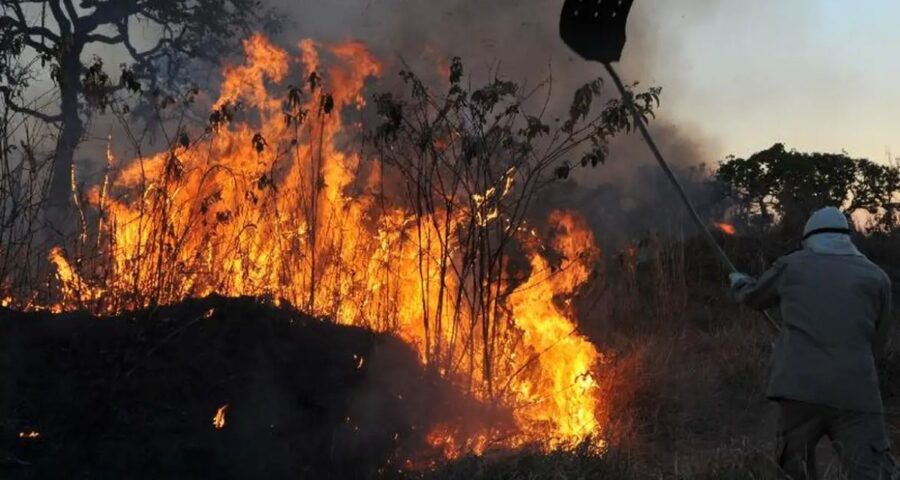 Governo quer diminuir os impactos das queimadas no campo - Foto: Valter Campanato/Agência Brasil