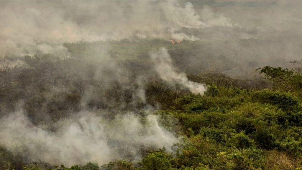 Forças armadas estão no combate aos incêndios florestais - Foto: Marcelo Camargo/Agência Brasil