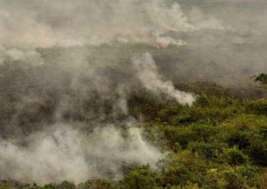 Forças armadas estão no combate aos incêndios florestais - Foto: Marcelo Camargo/Agência Brasil