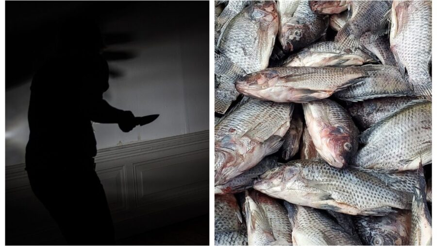 Vendedor de peixe foi preso após matar cliente - Foto: Divulgação/PCAM