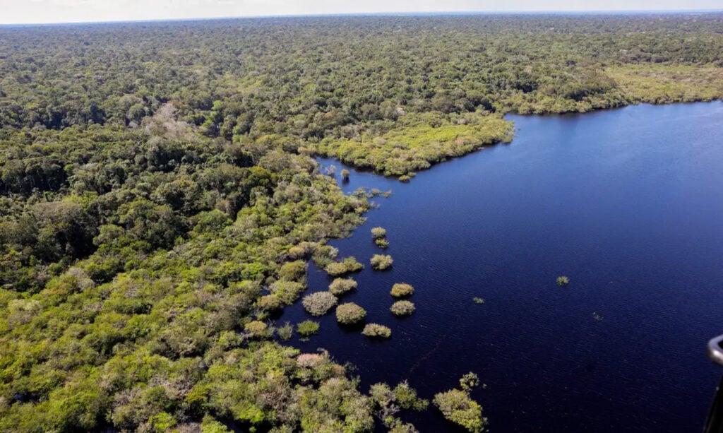 Desmatamento da Amazônia em agosto é o menor em seis anos, diz Inpe